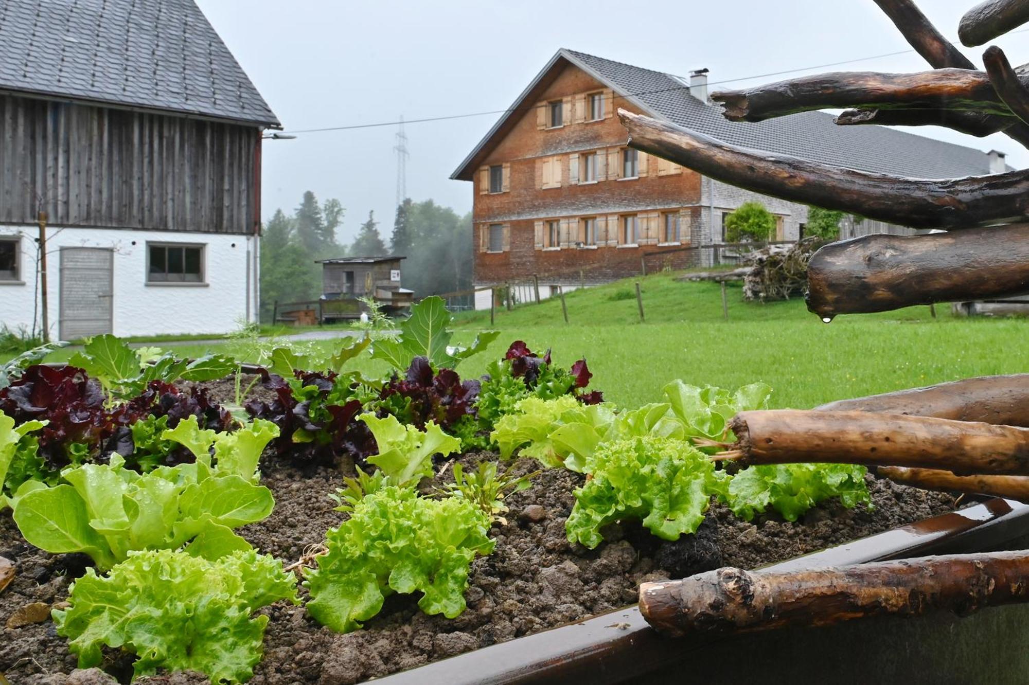 Ferienhof Landerleben Egg Zewnętrze zdjęcie